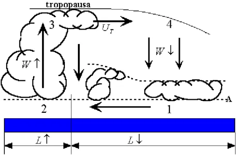 Figura  2.3.  Representação  esquemática  simplificada  da  circulação  de  Walker  sobre  o  Pacífico  Equatorial
