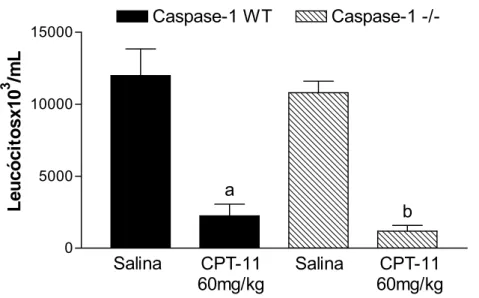 Figura 24 – Efeito do CPT-11 sobre a contagem de leucócitos sanguíneos  em camundongos Caspase-1 