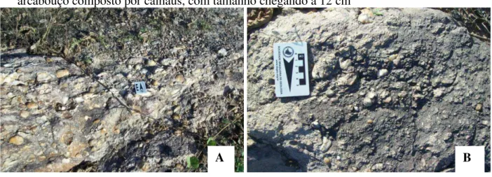 Figura  11  -  [A]  Afloramento  rocha  conglomerática;[B]  Rocha  clasto-suportados  com  arcabouço composto por calhaus, com tamanho chegando a 12 cm 