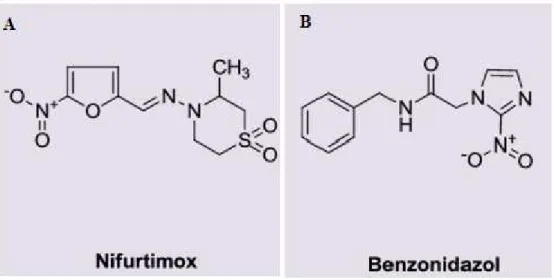 Figura 6. Estrutura química dos fármacos existentes para a terapia da doença de chagas.