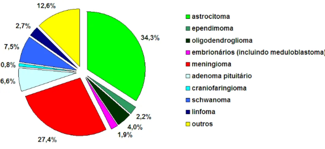 FIGURA 04 – Distribuição percentual dos tumores primários do SNC diagnosticados nos EUA no período  de 1995 a 1999 segundo a histopatologia (n=37.788)