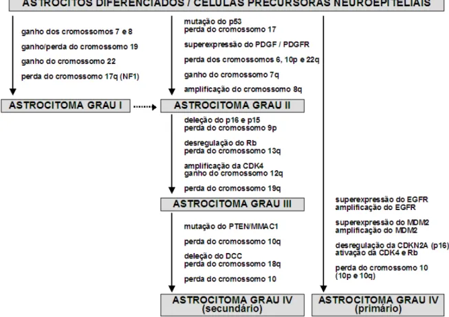 FIGURA 09 – Diagrama representativo das alterações genéticas envolvidas na progressão maligna dos  astrocitomas
