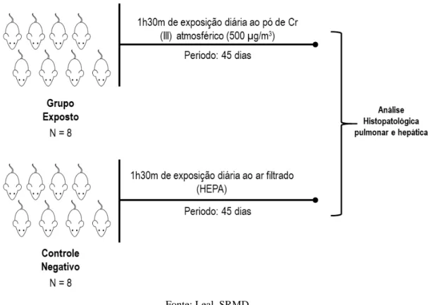 Figura 9. Caixa de inalação, simulando o ambiente atmosférico contendo Cr (III). 