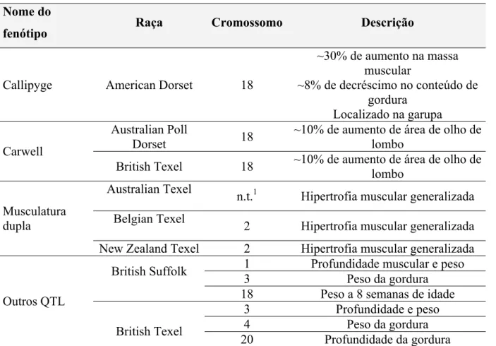 Tabela 2. Genes e QTL’s afetando a composição da carcaça em ovinos  Nome do 