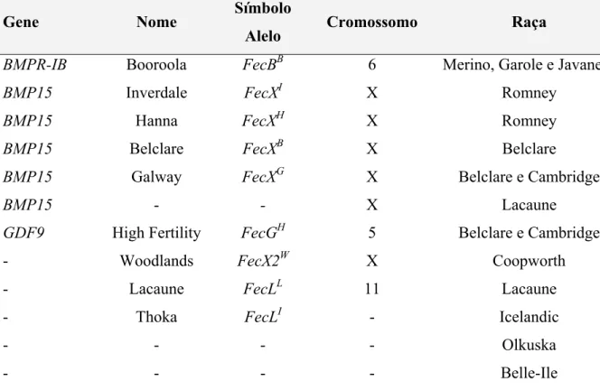 Tabela 3. Principais e supostos genes de grande efeito (‘major genes’) para a  prolificidade em ovinos 