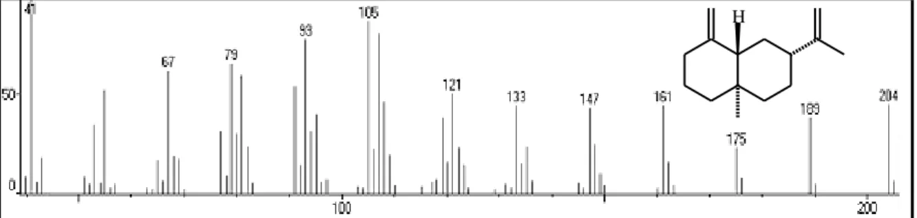 Figura 19  –  Espectro de massa do -selineno 