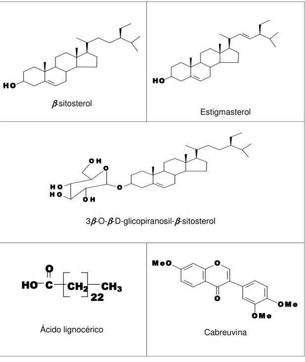 Tabela  02  -  Estruturas  dos  metabólicos  secundários  isolados  do  Gênero  Sclerolobium [Bezerra et al, 1994]