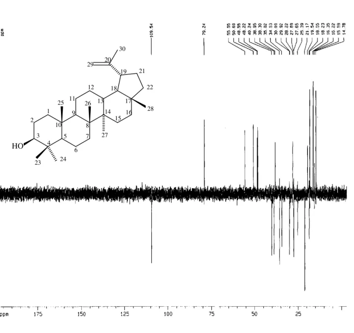 Figura 07: Espectro de RMN  13 C-DEPT 135º de SR-1, em CDCl 3  a 125 MHz . 123456101112131415167891718192021222324252627282930HO