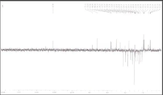 Figura 05 – Espectro de RMN  13 C – DEPT 135 o  (CDCl 3 ) de ML-1 