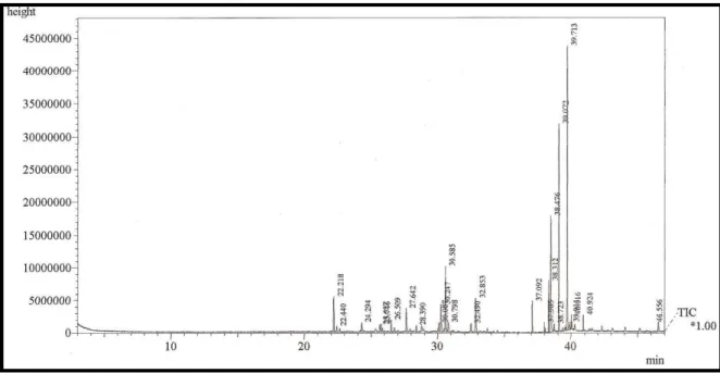 Figura 05: Cromatograma da análise de OEGS-FLORES por CGL/EM 