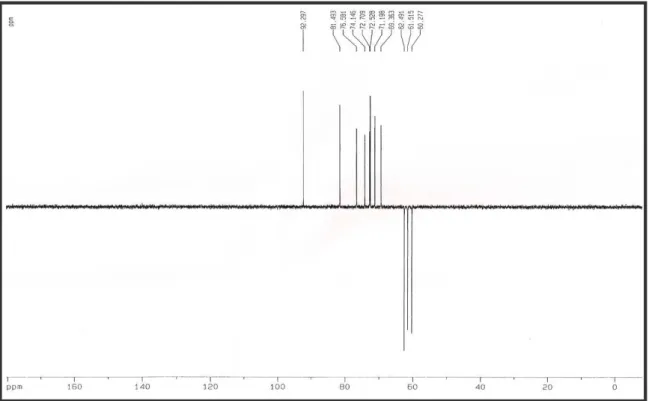 Figura 39: Espectro de RMN  13 C-DEPT 135° (75 MHz, D 2 O) de GS-1 