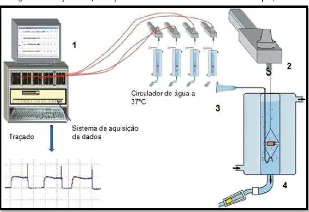 Figura 10 - Representação esquemática do sistema de cubas isoladas e captação de  dados