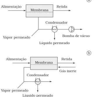Tabela 1. Características físico-químicas da polpa de caju.