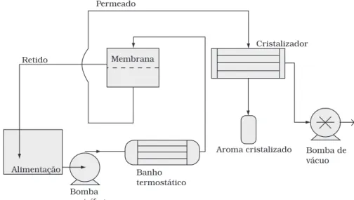 Figura 2. Esquema do sistema de pervaporação.