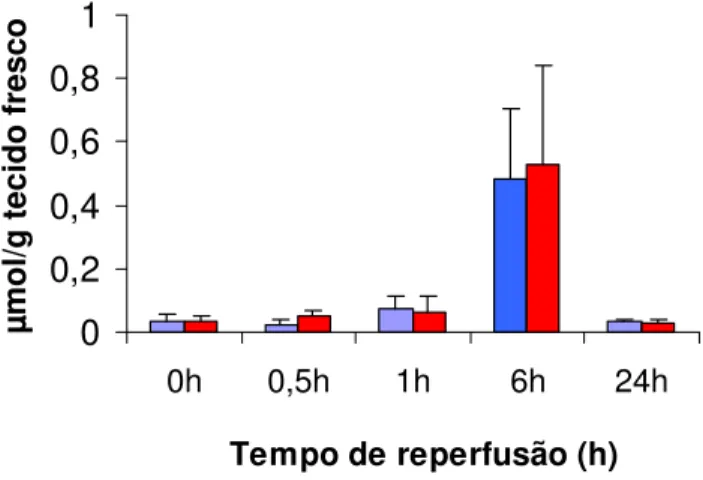 FIGURA 14 - Concentração de ATP nos testículos  direito e esquerdo  (Grupo 2 – Isquemia) 