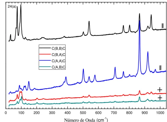 Figura 24 - Espectros Raman polarizados para a fase β do ácido L-glutâmico face AB. 