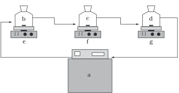 Figura 2. Diagrama esquemático do aparato experimental. a) banho  termostatizado  (Nova  Ética,  modelo  521/3D);  b,  c  e  d)  células  de  equilíbrio de vidro encamisadas; e f e g) sistema de agitação (Fisatom,  modelo 752A).