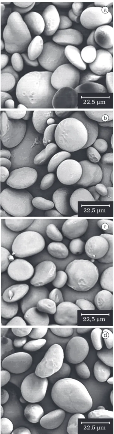 Figura 4. Micrografias observadas em MEV (aumento de 1000 x) dos grânulos  grandes (a, b, c, d) e pequenos (e, f, g, h) de amidos isolados dos  diferentes genótipos de trigo após fracionamento