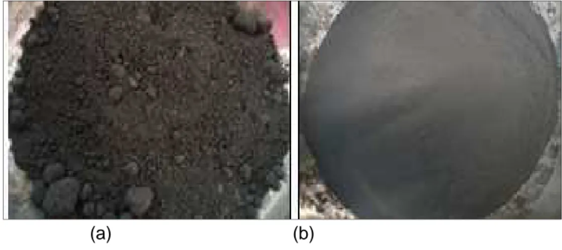 Figura 3.1 – Produtos da combustão do carvão mineral (a) in natura e (b)  peneirada. 