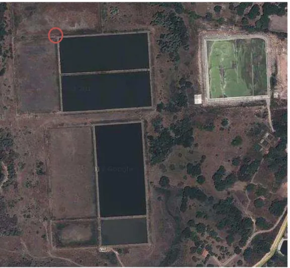 Figura 7- Imagem de satélite da Estação de Tratamento de Esgoto da CAGECE, Aquiraz, Ceará 