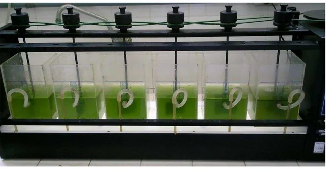 Figura 10  –  Aparelho de Jar-Test utilizado nos ensaios de avaliação de coagulantes orgânicos naturais e  sintéticos na separação de biomassa algal    