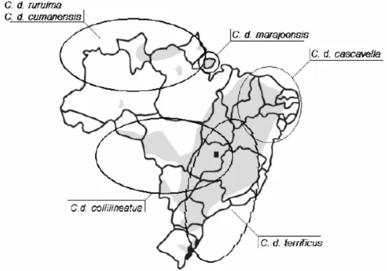 Figura 1. Distribuição geográfica das subespécies da Crotalus durissus no Brasil. 