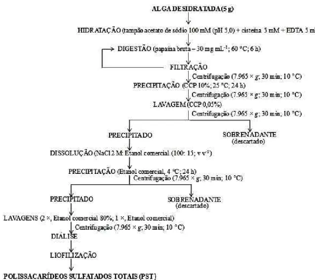 Figura  10  -  Fluxograma  de  obtenção  dos  PST  da  alga  marinha  vermelha  S. 