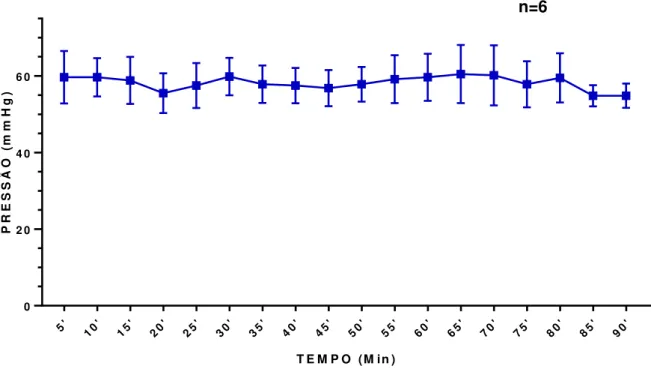 Figura  9.  Pressão  de  perfusão  de  rins  de  coelhos  normais,  perfundidos  com  cloridrato de metformina (0.5mg/mL) em solução de Krebs-Henseleit