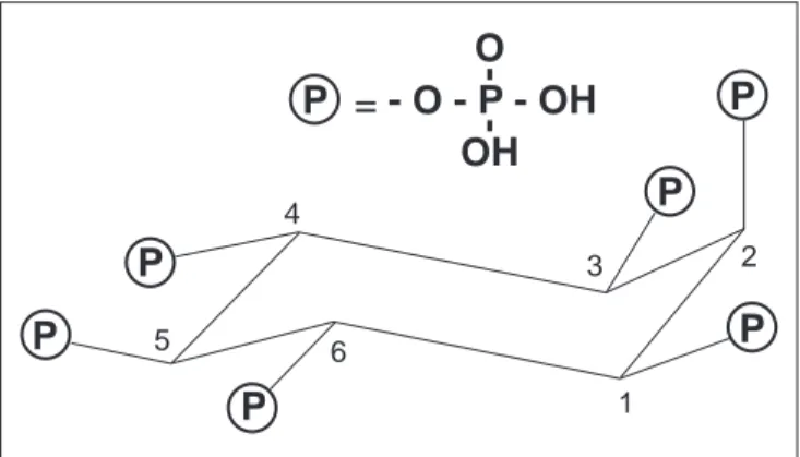 FIGURA 1 – Estrutura do ácido fíticoPPP PPPP = - O - P - OHOOH-123456