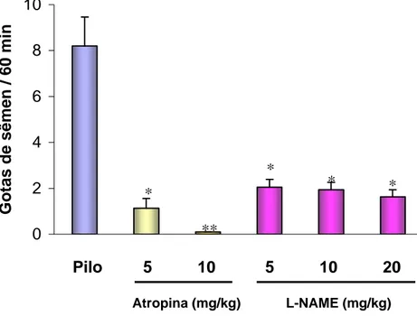 Figura 9. Emissão seminal induzida por pilocarpina (3 mg/Kg; i.p) em animais  pré-tratados por via subcutânea com veículo (salina; 1 ml/Kg) , atropina (5 e 10  mg/Kg) ou L-NAME (5, 10 e 20 mg/Kg)