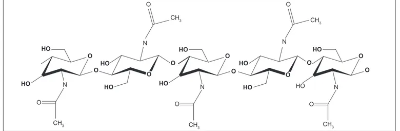 FIGURA 2 – Estrutura química da quitina.