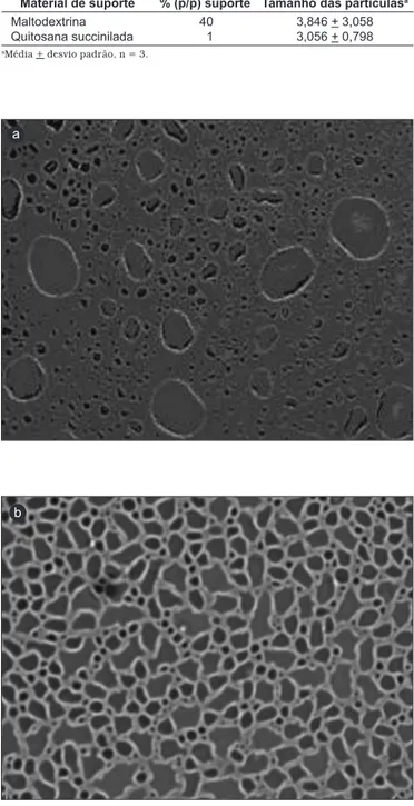 FIGURA 7 – Absorbância da MA ao longo do tempo sob diferentes  temperaturas.