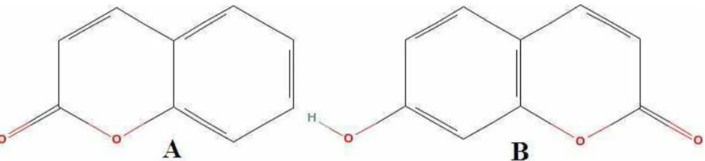 Figura 1 - Estrutura química da cumarina (A) e umbeliferona (B) 