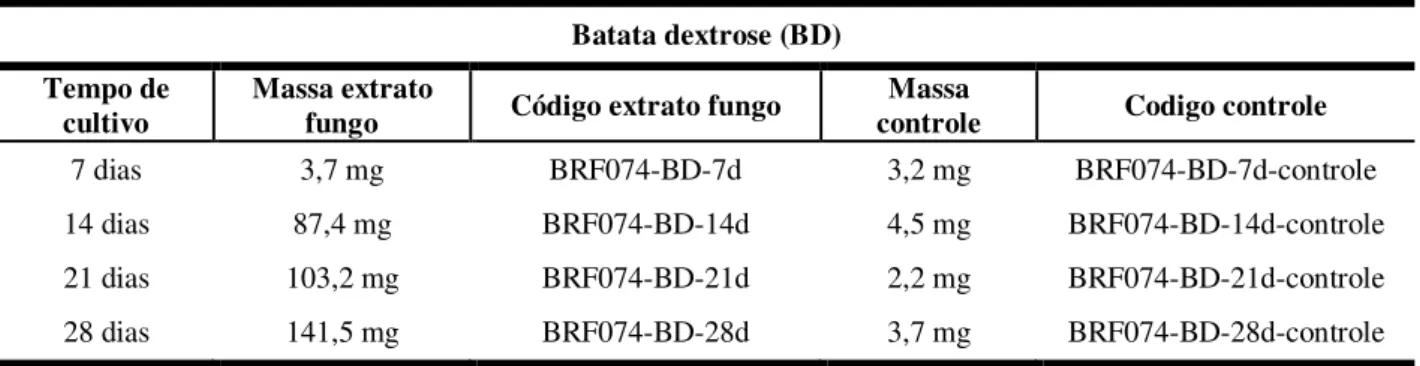 Tabela 3 - Massa dos extratos obtidos no cultivo de  A. niger em meio de cultura BD com 07, 14, 21 e 28  dias de crescimento 