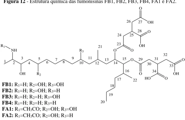Figura 12 - Estrutura química das fumonisinas FB1, FB2, FB3, FB4, FA1 e FA2. 