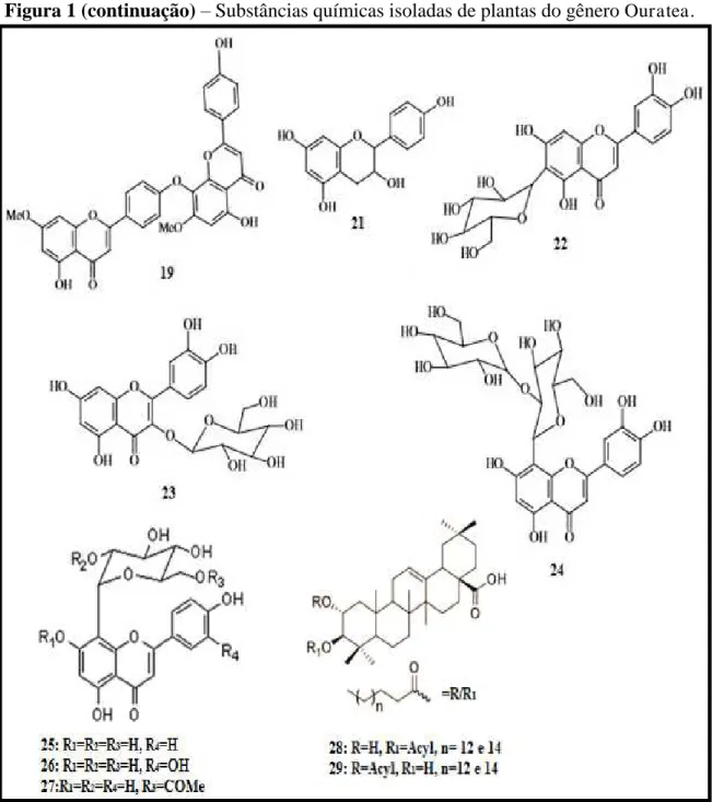 Figura 1 (continuação) – Substâncias químicas isoladas de plantas do gênero  Ouratea.