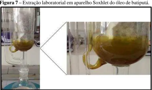 Figura 7  –  Extração laboratorial em aparelho Soxhlet do óleo de batiputá. 