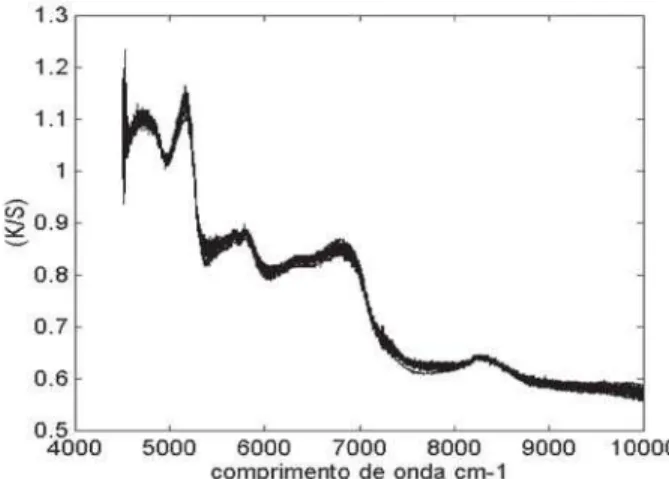 FIGURA 2. Conjunto de espectros NIR após transformações Kubelka-Munk, correção multiplicativa de sinal (MSC) e alisamento por SPLINE.