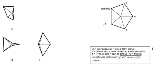 FIGURA 4 - Configurações em &#34;estrela&#34; para medidas instrumentais de cor nos sucos entamborado (3), formulado (4) e pasteurizado (5)