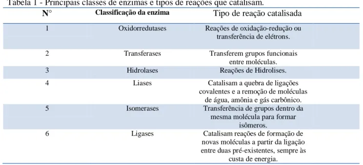 Tabela 1 - Principais classes de enzimas e tipos de reações que catalisam. 