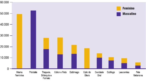 Figura 2: Tipos de câncer mais incidentes estimados para 2010, exceto pele não melanoma,  na população brasileira (Fonte: INCA, 2010)