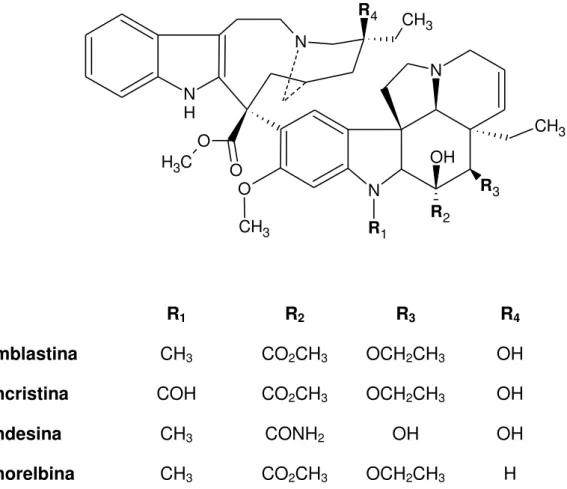 Figura 8 Estrutura química da vimblastina, da vincristina, da vindesina e da vinorelbina