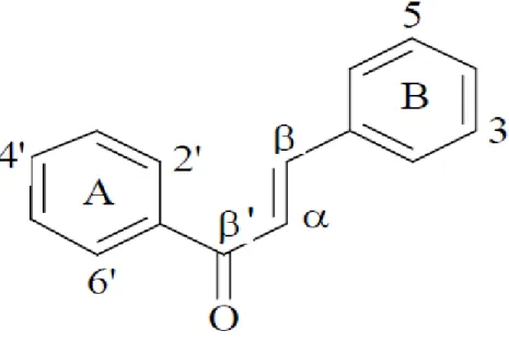 Figura 10: Núcleo fundamental das chalconas. 