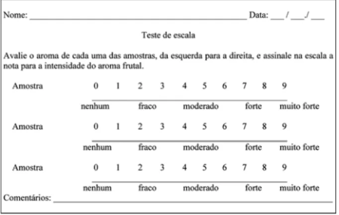FIGURA 2 - Formulário usado no teste de escala