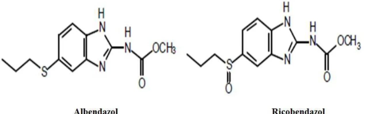 Figura 6 – Estrutura molecular do albendazol e do sulf´oxido de albendazol.