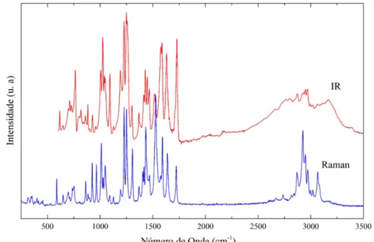 Figura 13 – Compara¸c˜ao dos espectros FTIR e FT-Raman referentes `a amostra de rico- rico-bendazol.