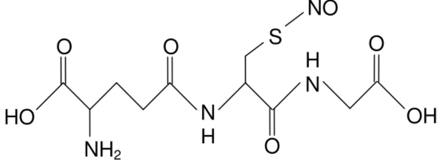 Figura 5: S-nitrosoglutationa NH2 OH O O O O HO NO S HN NH 