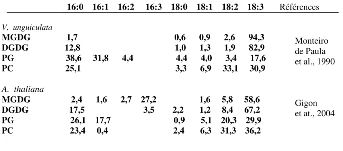 Tabela 1. Composição em ácidos graxos dos principais glicerolipídeos de folhas de  Vigna  unguiculata (planta 18:3) e Arapidopsis thaliana (planta 16:3) (mol%)