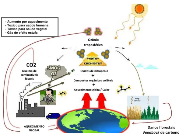 Figura 2 - Representação esquemática do ciclo do ozônio troposférico.  