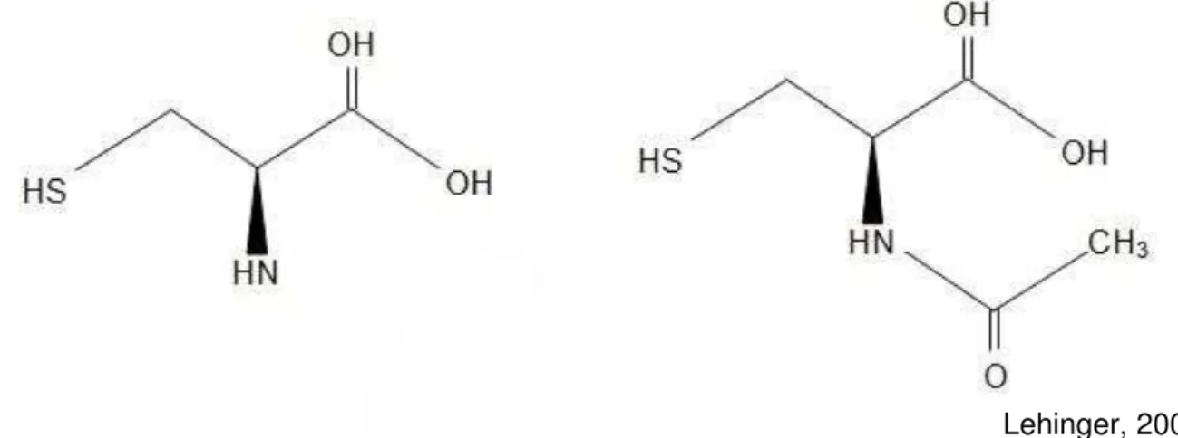 Figura 4- Estrutura molecular da cisteína a esquerda e da molécula L-isômera, N- N-acetilcisteína a direita 